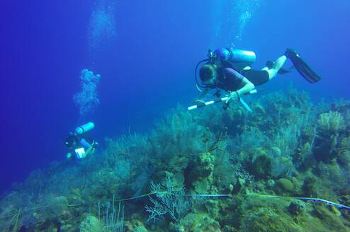 Underwater Photography & Reef Conservation in Cayman Islands
