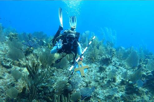 Sea Turtle & Reef Conservation in Cayman Islands