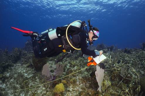Marine Conservation Volunteering