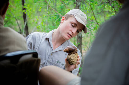 Students learn about all kinds of animals on a Bushwise Nature Enthusiast online course.