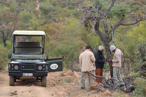 Camera trap surveying