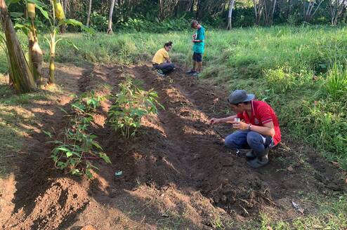 Permaculture