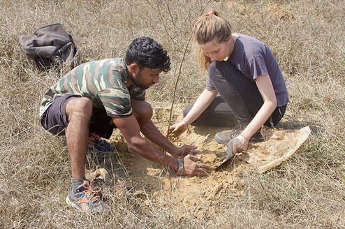 Planting trees in India