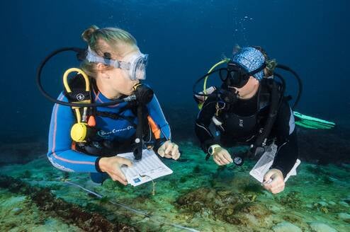 Completing a coral survey from Nusa Lembongan, Bali, Indonesia