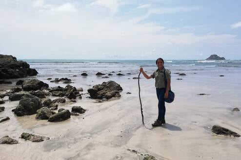 beach cleaning