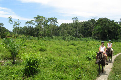 horse back tour in the rainforest