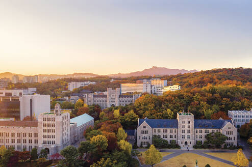 Korea University