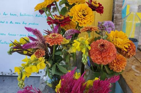 A vase of farm-grown flowers