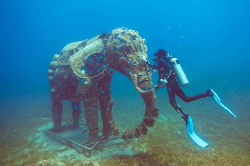 Scuba diving 