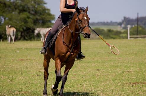 Polocrosse