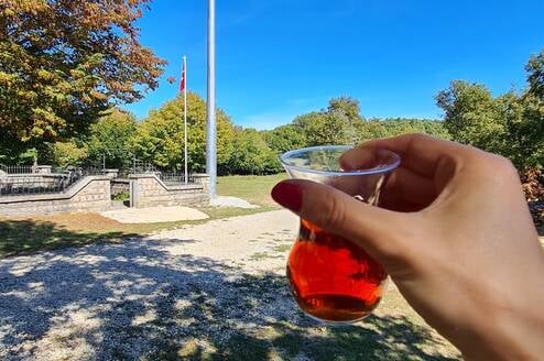 Drink tea outdoors with a view