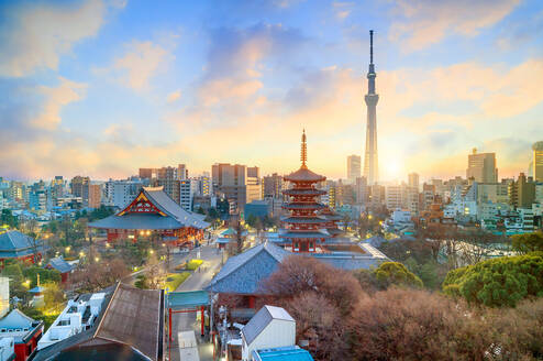 Study Japan