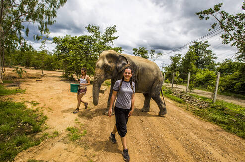 Elephant Sanctuary