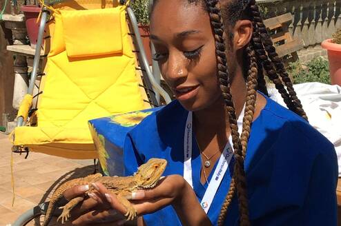 Doctors in Italy Fellowship | VetMed Shadowing in Italy