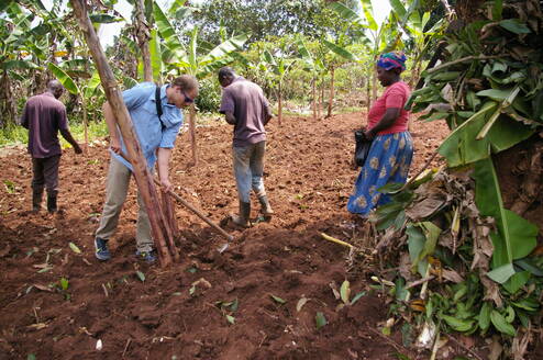 Volunteer Planting Tress in a local village