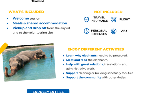 Program flyer