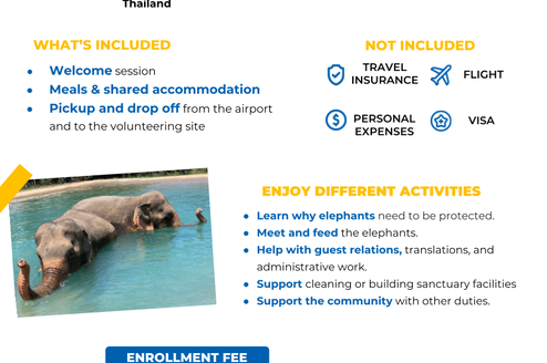 Program flyer