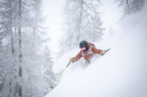 powder skiing in the trees