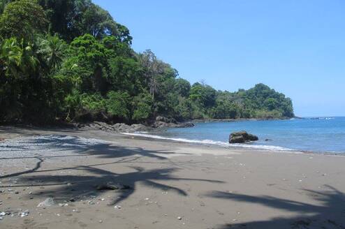 Beach, low tide