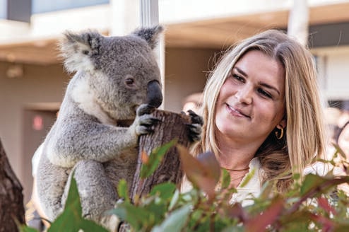 Koala at the Welcome to Australia Event