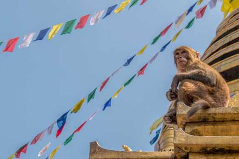 Nepal: Traditions of the Himalayas