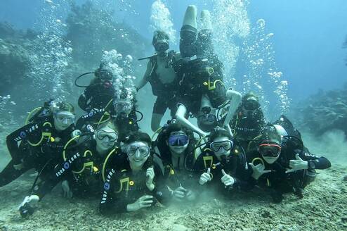 Explore the world underwater with new friends