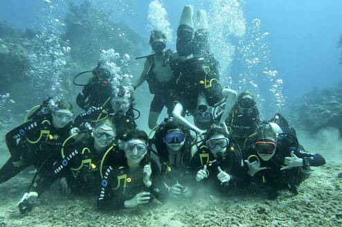 Explore the world underwater with new friends