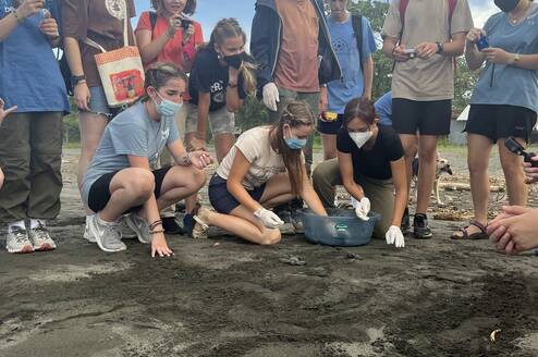Students on beach clearing room for turtles