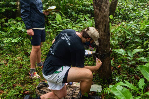 Setting up a camera trap