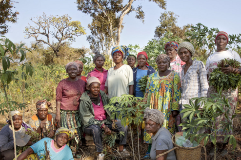 Those are some of the people you may except to meet in our rural communities of service