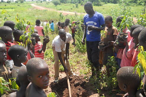 Ladder Ministries guiding OVCs on tree planting and maintainence 
