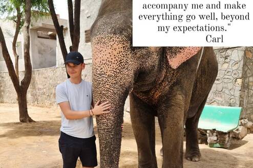 Animal care Internship in India 