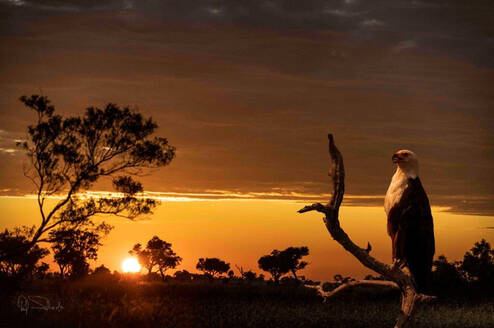 African Sunset