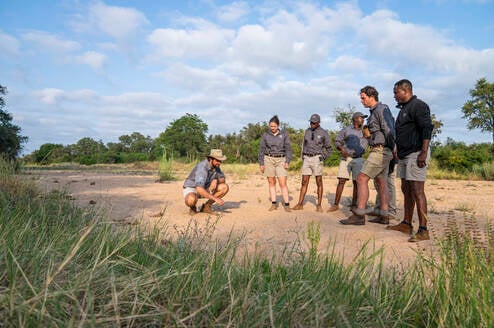 Become a Field Guide 