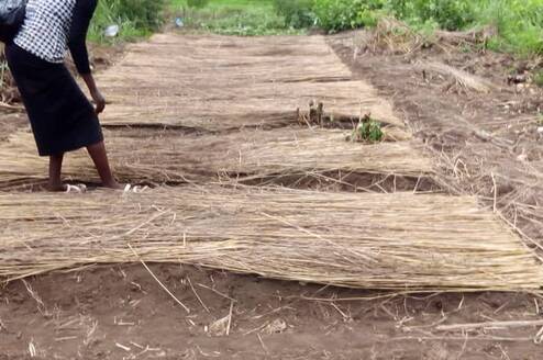 Necessary Bed setup in Torit