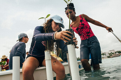 Students working on the mangroves in the DR