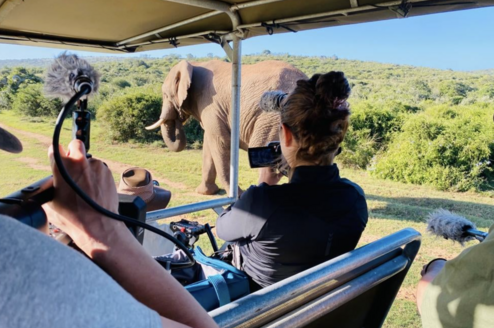 Filming Elephants