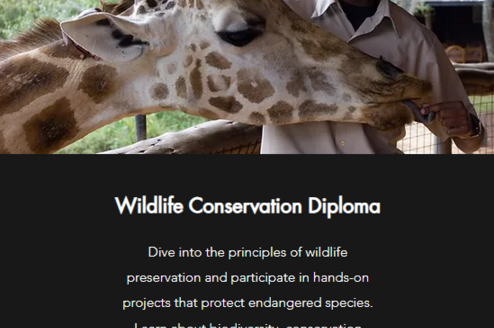 wildlife conservation diploma