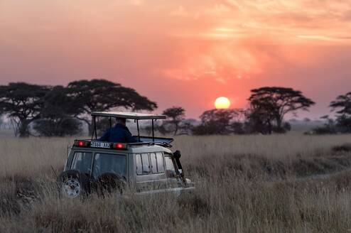 A safari tour in Africa at sunrise 