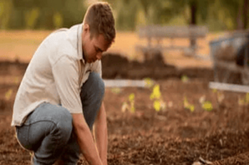 Cocoa Farmers skills Training project