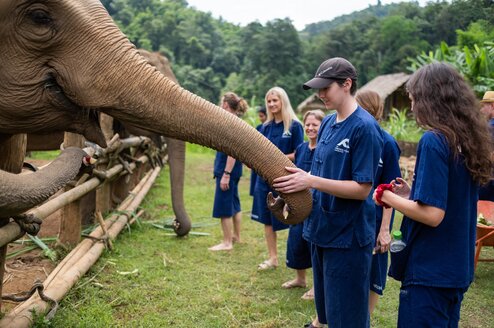 Volunteer in Elephant Conservation