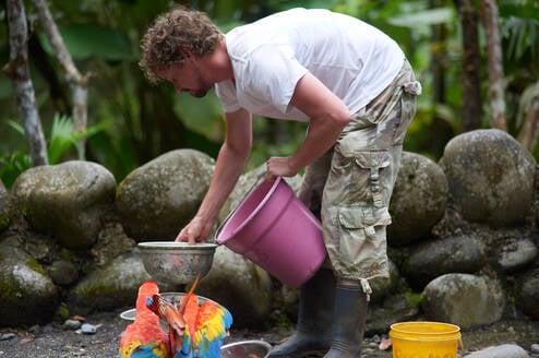 Volunteer in Ecuador