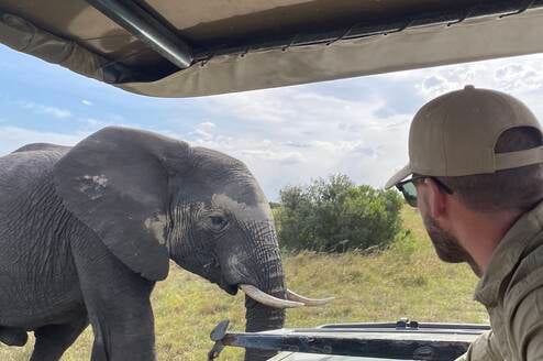 a man looks on an elephant  