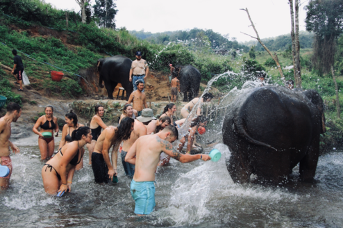 Thailand Interns
