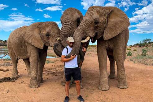 Big 5 - elephants