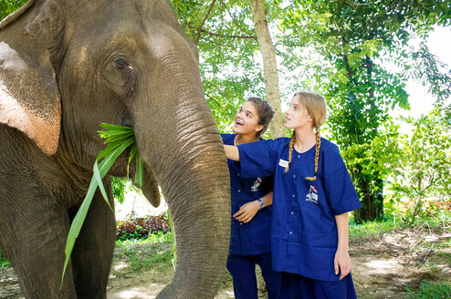 Two students in awe while touching an elephant