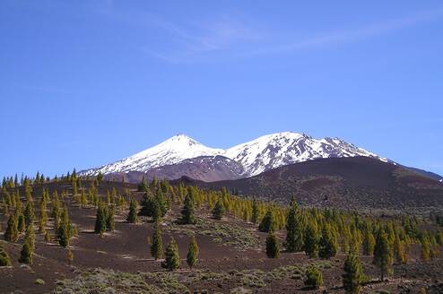 Teide