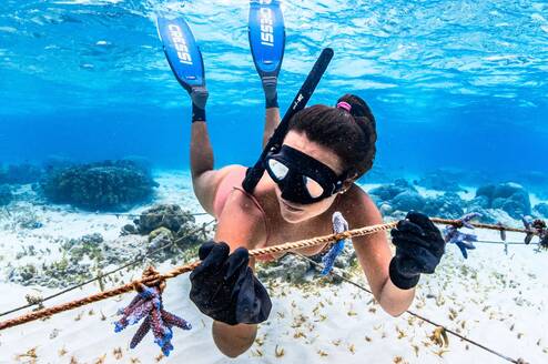 Freedive and plantings corals