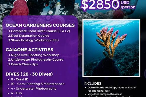 Details of the Course 
