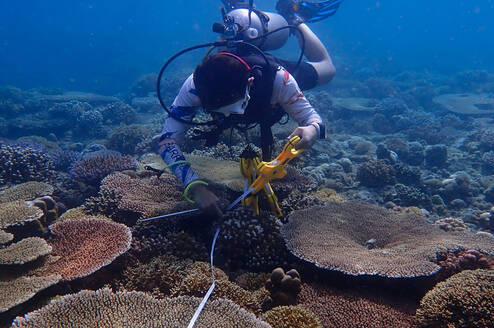 Conducting MPA assessments